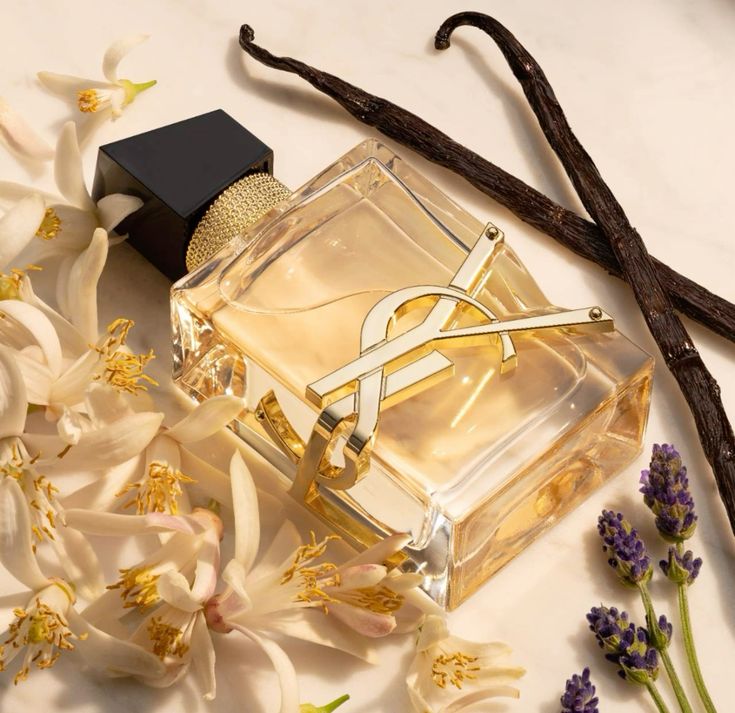 Pack of 3 Ladies Perfumes